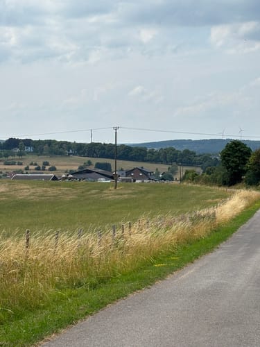 Rundweg D2 (Dahlem)