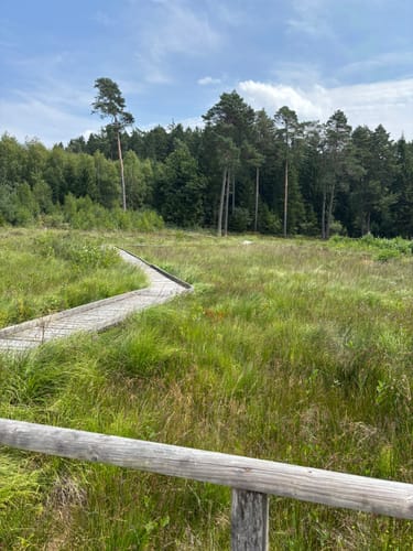 Rundweg D2 (Dahlem)
