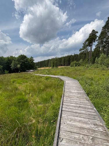 Rundweg D2 (Dahlem)