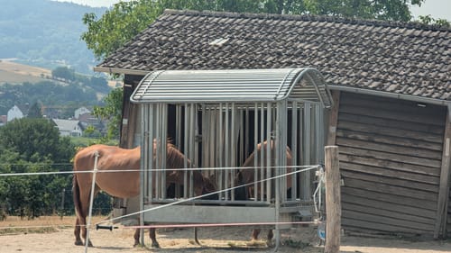 Rundwanderweg Reichelsheim 1: Sagenweg Wildweibchenstein