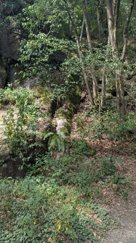 Rundwanderweg Reichelsheim 1: Sagenweg Wildweibchenstein