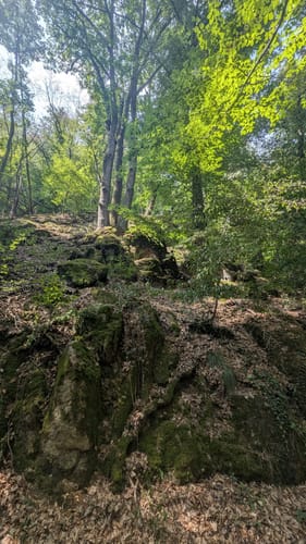 Rundwanderweg Reichelsheim 1: Sagenweg Wildweibchenstein