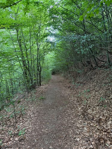 Rund um Zorge und durch das Wolfbachtal