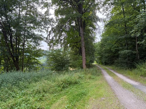Rund um Zorge und durch das Wolfbachtal