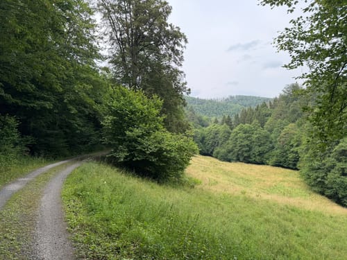 Rund um Zorge und durch das Wolfbachtal