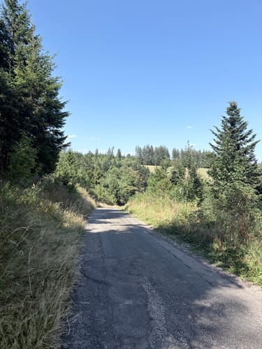 U(h)rwaldpfad Rohrhardsberg (Genießerpfad)