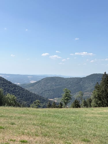 U(h)rwaldpfad Rohrhardsberg (Genießerpfad)