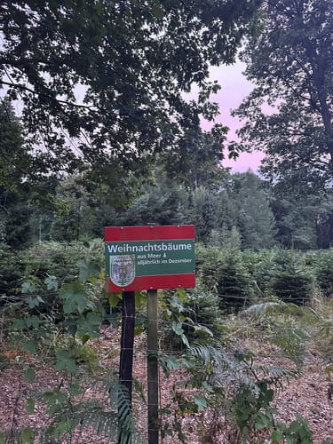 Durch den Stadtwald von Meerbusch