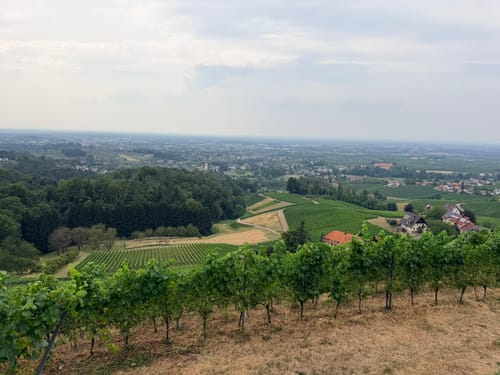 Schnapsbrunnenweg 1
