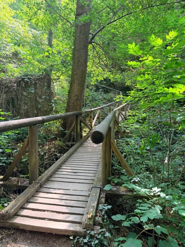 Schnapsbrunnenweg 1