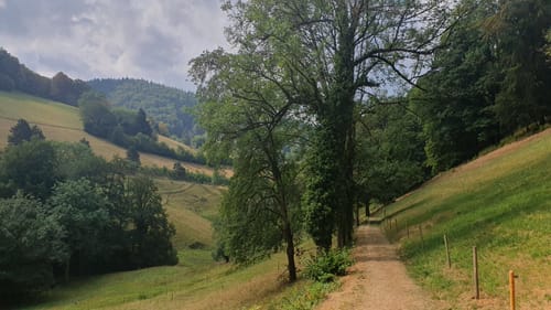Lebensweg Sankt Ulrich