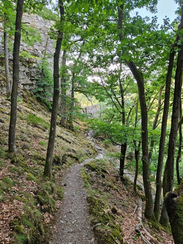 Altlayer Schweiz (Traumschleife)