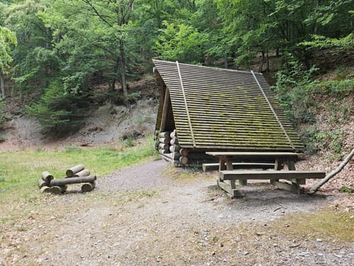 Altlayer Schweiz (Traumschleife)