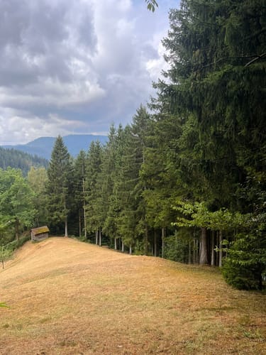 Klösterle Schleife (Genießerpfad)