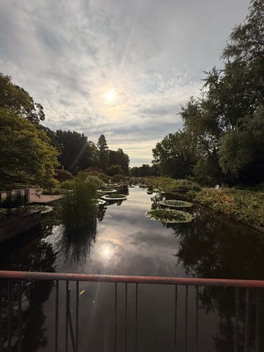 Von St. Pauli zum Planten un Blomen