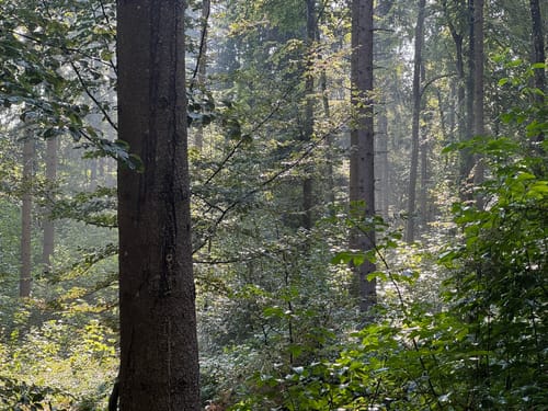 Ostweg Etappe 8: Geisingen - Achdorf