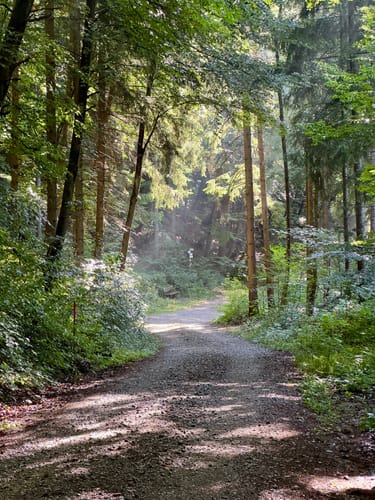 Ostweg Etappe 8: Geisingen - Achdorf
