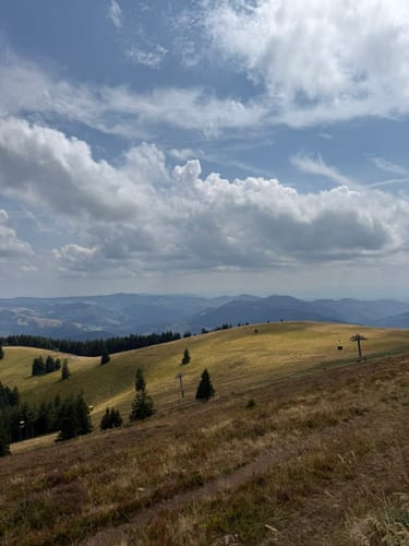 Vom Belchenhaus ins Tal