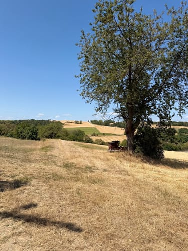 Nette Romantikpfad (Premiumspazierwanderweg)