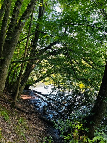 Obermaubach - Eugenienstein - Ruhrbrücke