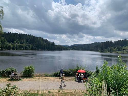 Windgfällweiher ab Altglashütten
