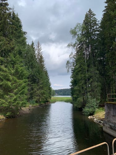 Windgfällweiher ab Altglashütten