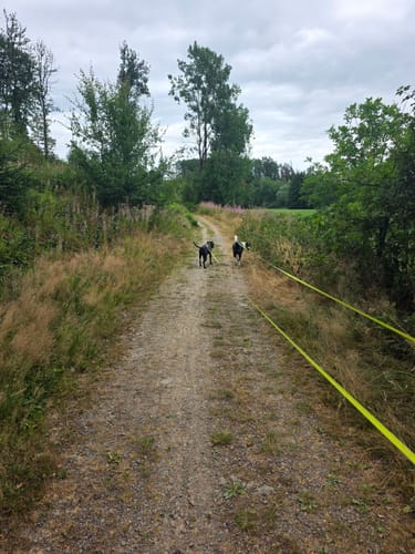 Halver Rundweg A7