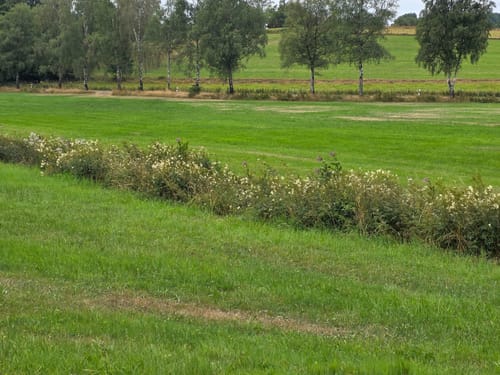 Halver Rundweg A7
