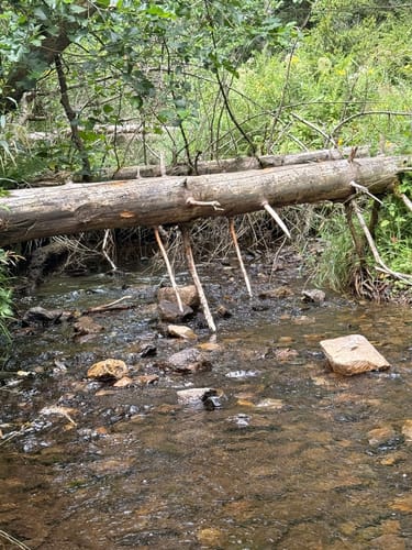 Naturmythenpfad Braunlage
