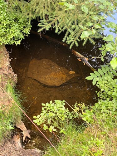 Naturmythenpfad Braunlage