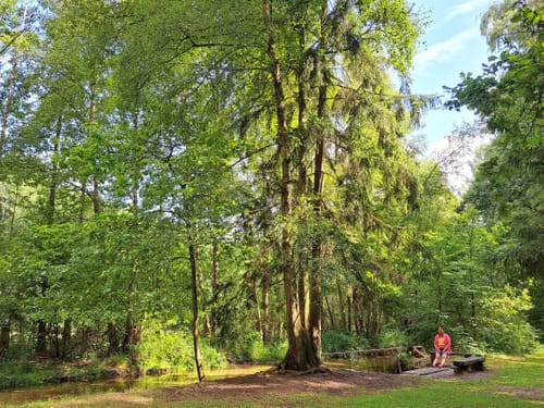 Südheide 'In einem Bächlein helle' W6m (mittlere Tour)