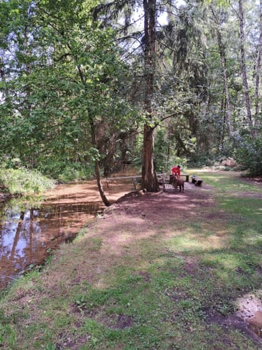 Südheide 'In einem Bächlein helle' W6m (mittlere Tour)