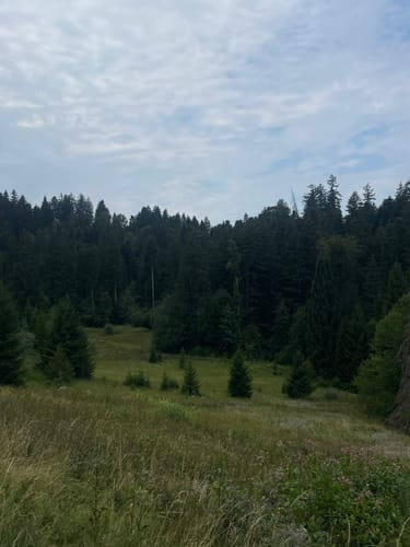 Westallgäuer Wasserweg 3