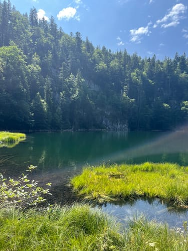 Rinderbrachalm - Stoibenmöseralm -Taubenseehütte