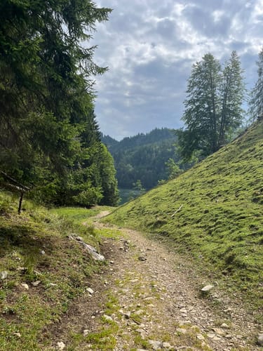 Rinderbrachalm - Stoibenmöseralm -Taubenseehütte