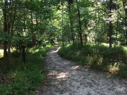 10 Best Trails And Hikes In Hampton | AllTrails