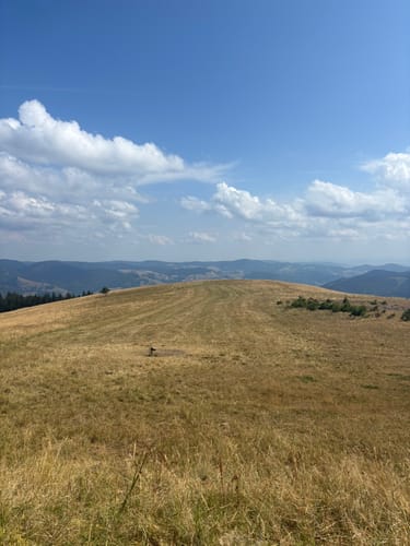 Vom Belchenhaus ins Tal