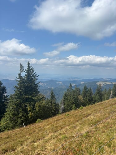 Vom Belchenhaus ins Tal