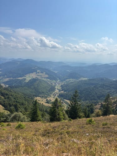 Vom Belchenhaus ins Tal