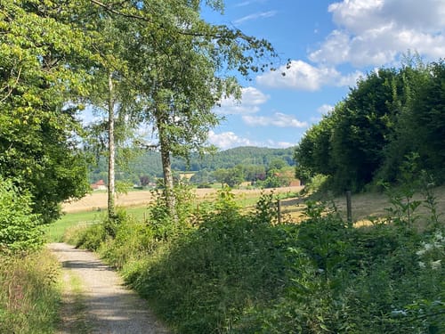 Durch die Wälder an der Rur
