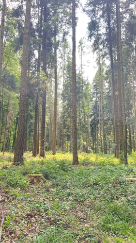 St. Chrischona via Basel - Riehen