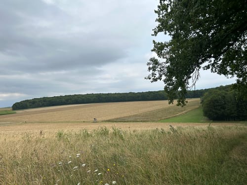 3-Tälerweg Mainberg