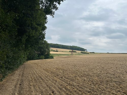 3-Tälerweg Mainberg