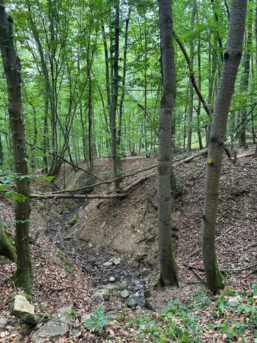 3-Tälerweg Mainberg