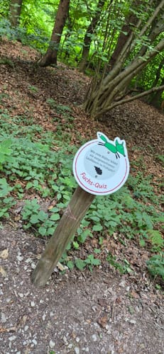 Grünfuchs-Pfad