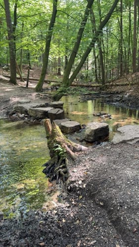 Pivikter Wasserweg
