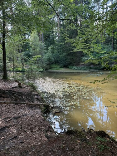 Pivikter Wasserweg