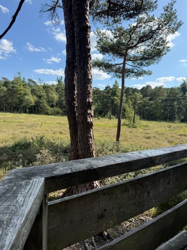 Pivikter Wasserweg