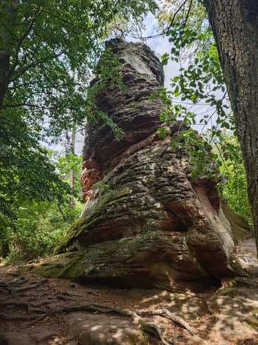 Annweiler und Rehberg Rundweg