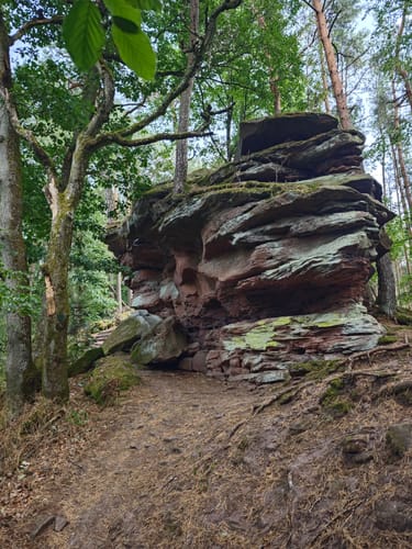 Annweiler und Rehberg Rundweg